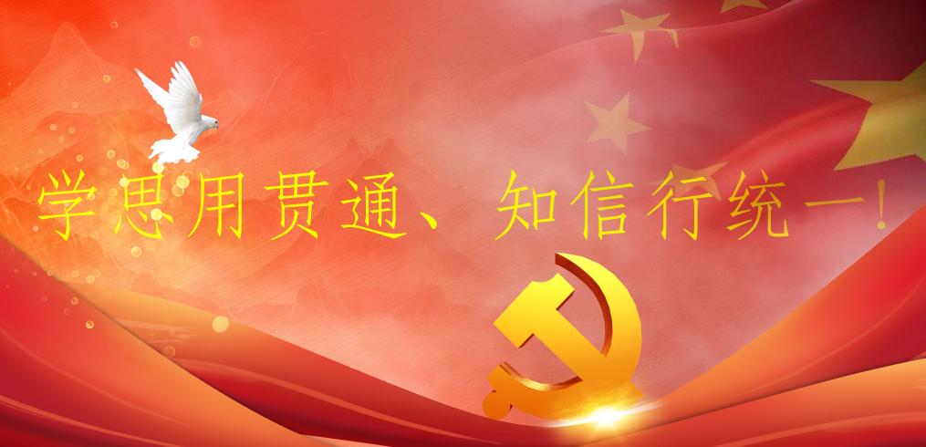 娱乐城