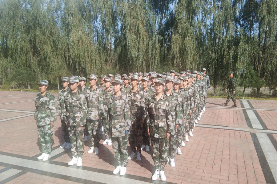 娱乐城