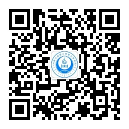 娱乐城
